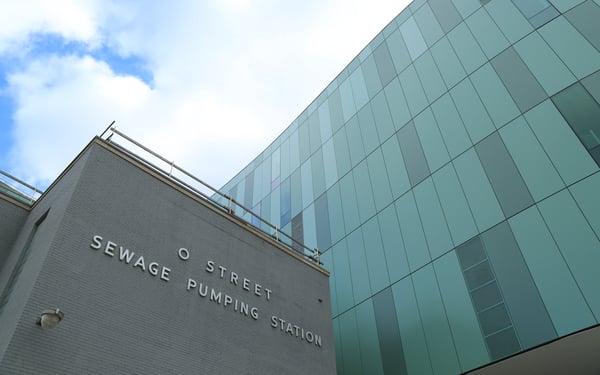 Decoding Lorem Ipsum: The Language of Designers